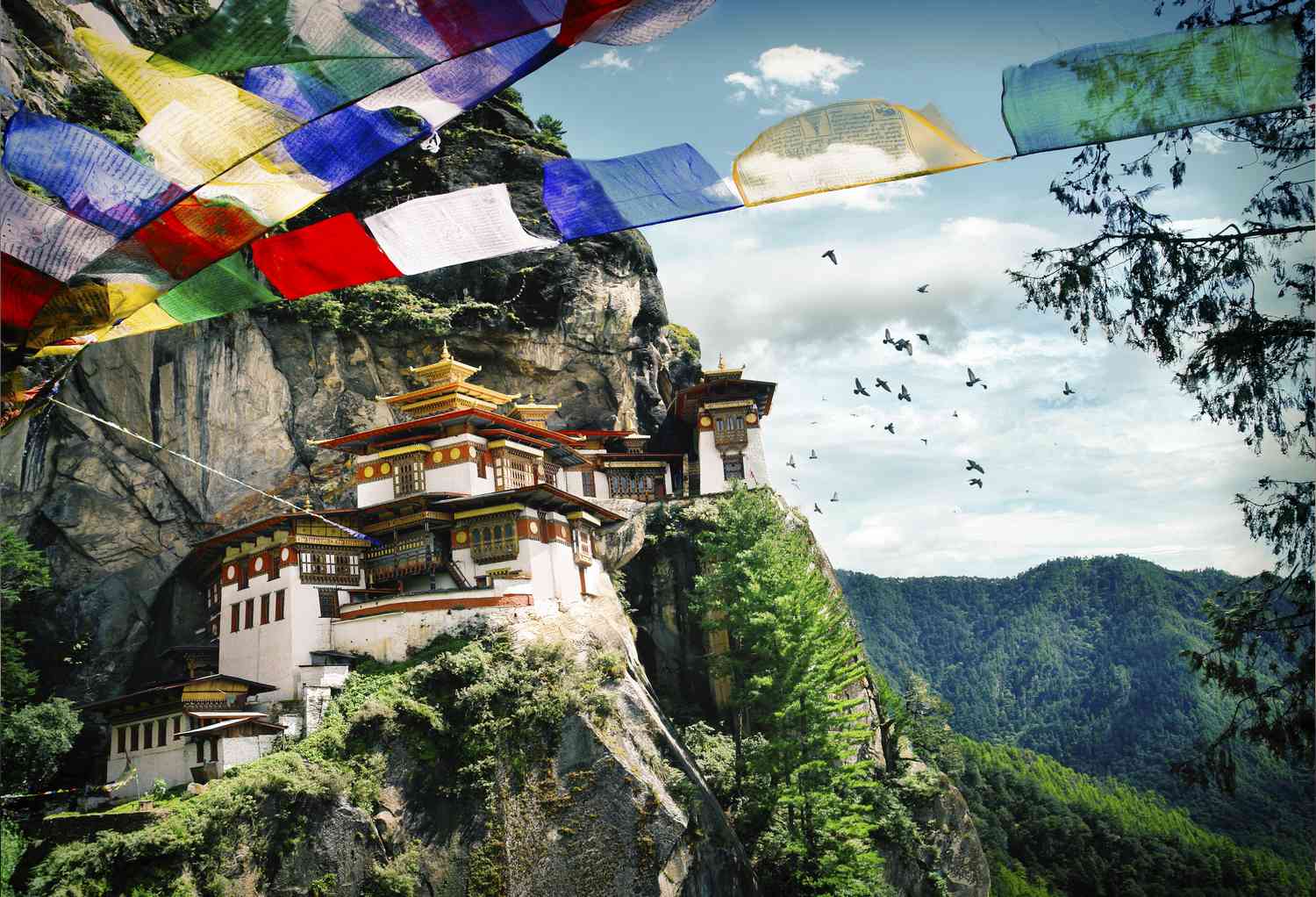 Best of Western Bhutan